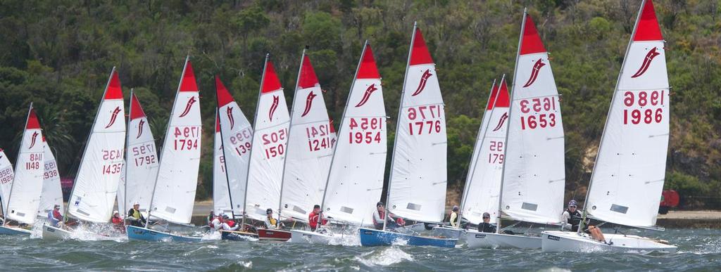 2014 Sabre Nationals, Perth © Andrew Graham